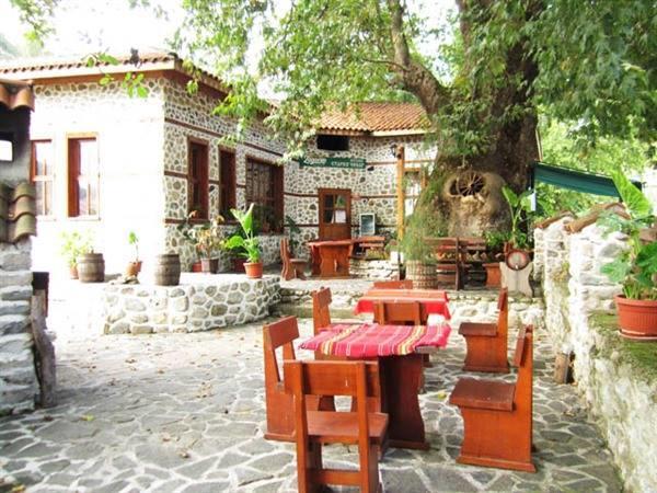 Комплекс Стария Чинар Melnik (Blagoevgrad) Luaran gambar