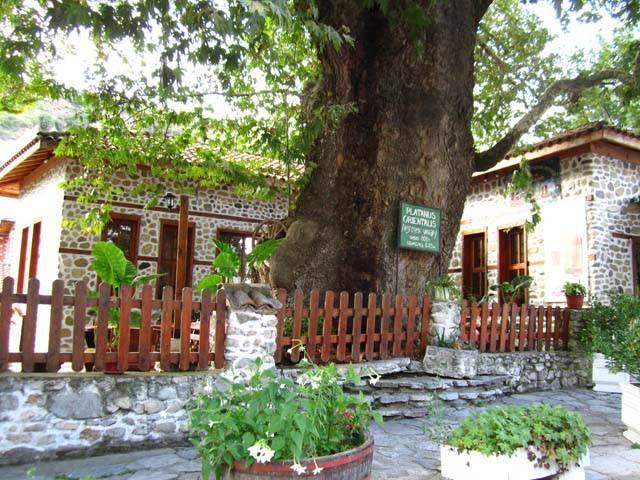 Комплекс Стария Чинар Melnik (Blagoevgrad) Luaran gambar