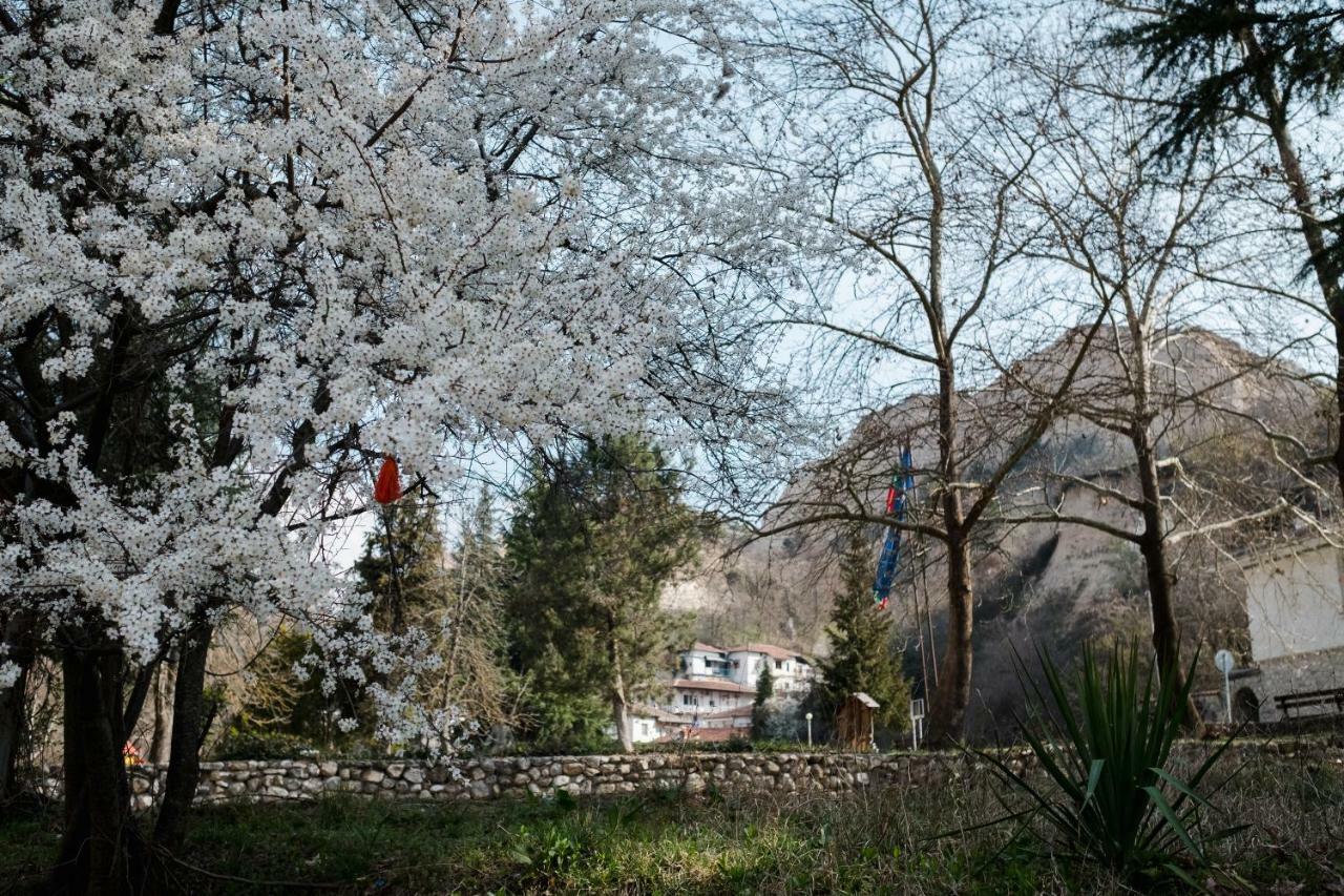 Комплекс Стария Чинар Melnik (Blagoevgrad) Luaran gambar