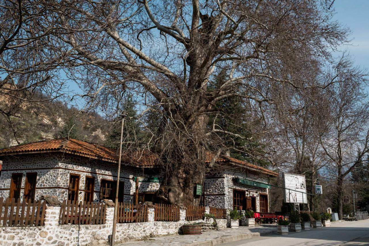 Комплекс Стария Чинар Melnik (Blagoevgrad) Luaran gambar
